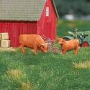 BUSCH 79890 - A-Set: Kuh mit Kalb H0